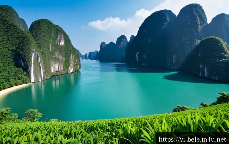 Kỹ sư điện công trình ứng dụng BIM: Quy trình phối hợp MEP, chọn phần mềm và đánh giá chi phí triển khai 4 건축전기설비기사와 BIM 기술의 융합 관련 이미지 2
